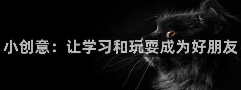 好博体育官方正版app集团logo:小创意:让学习和玩耍成为