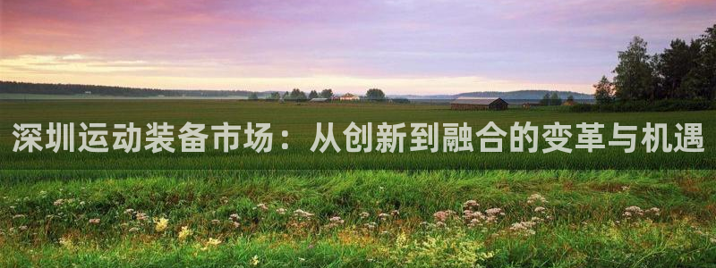 好博体育官方正版app集团官网首页:深圳运动装备市场:从创新