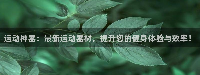 好博体育官网下载平台注册要钱吗安全吗:运动神器:最新运动器材