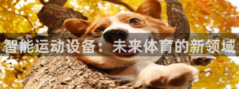 好博体育官网下载招商电话地址:智能运动设备:未来体育的新领域